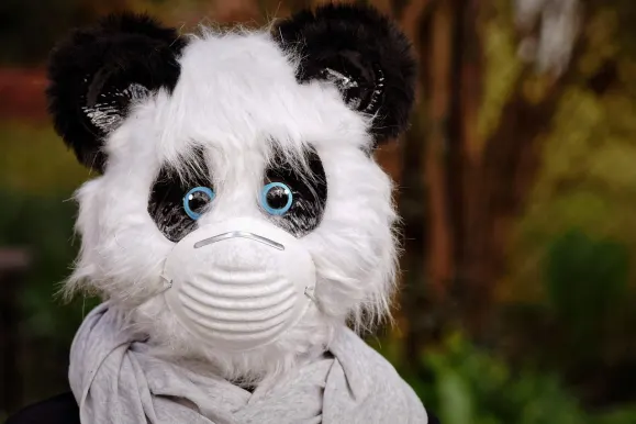 Bet9 Kazino Atbalsts